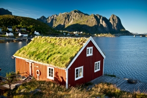 Скандинавский дом с травой на крыше