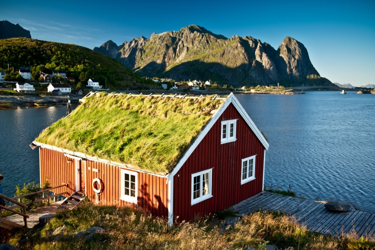 Скандинавський будинок з травою на даху