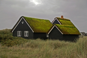 Дом с зеленой крышей проектирование