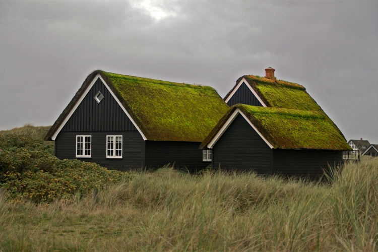 Будинок із зеленим дахом проектування
