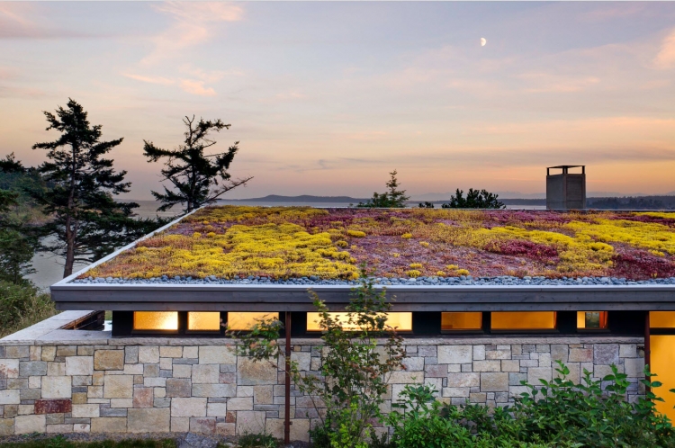 Одноповерховий будинок із травою на даху